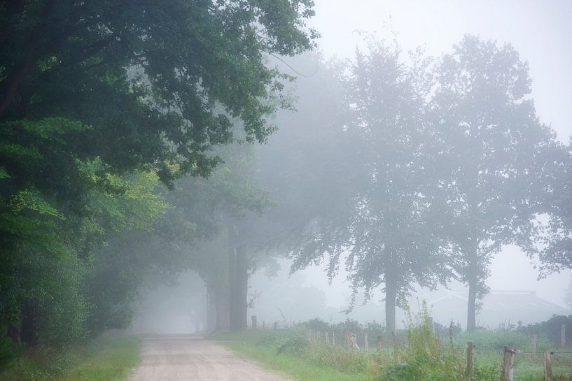 Route de campagne dans le brouillard par Francis Dost