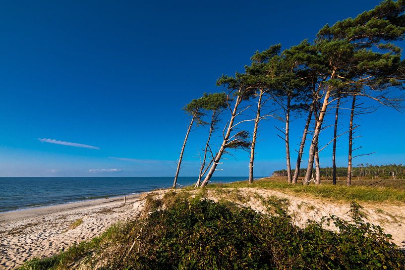 Ostsee - Weststrand auf dem Darß von Reiner Würz / RWFotoArt