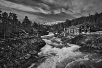 Reinheimen Noir et blanc