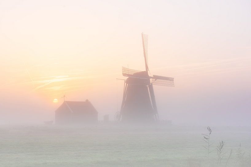 Windmühle De Koker in Wormer bei Sonnenaufgang im Nebel von Pieter Struiksma