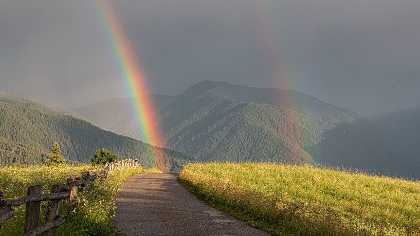 Rainbow by Thomas Heitz