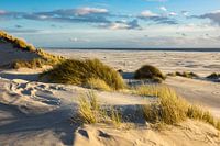 Paysage avec dunes sur l'île d'Amrum