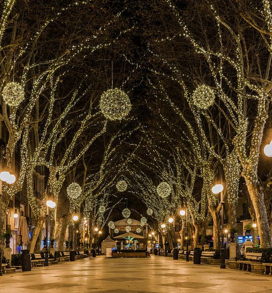 Rue illuminée à Noël à Palma de Majorque, Espagne. par Alex Winter