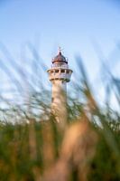 Observation des dunes : le phare d'Egmond aan Zee