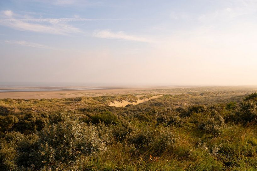 Lever de soleil avec brume dans les dunes lors d'un matin d'été ensoleillé par Sjoerd van der Wal Photographie
