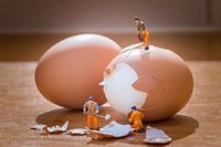 Mini mensjes aan het pellen