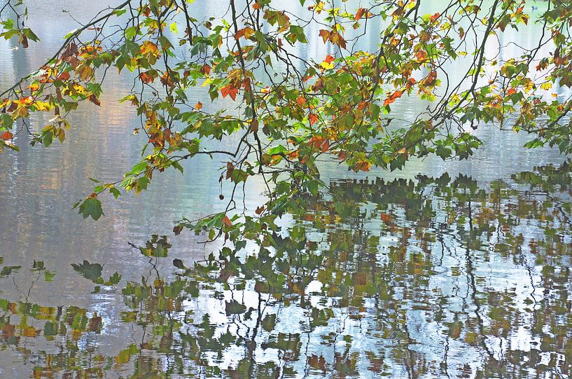 Herfst in Het Park, Rotterdam par Frans Blok - des photos, de l'art et des autres décorations murales