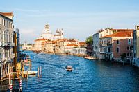 Venice - Santa Maria della Salute in the evening light
