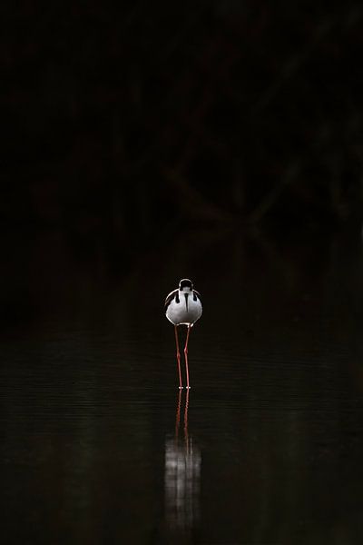 Kontemplation im Kontrast - Stilwandler in der Dunkelheit von Femke Ketelaar