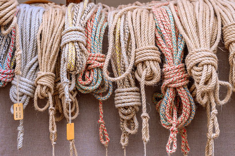 Ausrüstung für Ross und Reiter – Kaltblutmarkt Laupheim von Photoart-Naegele