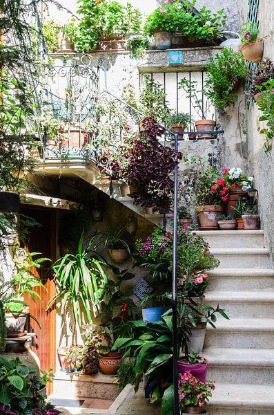 Sicilie Bloemen by Jurgen Hermse