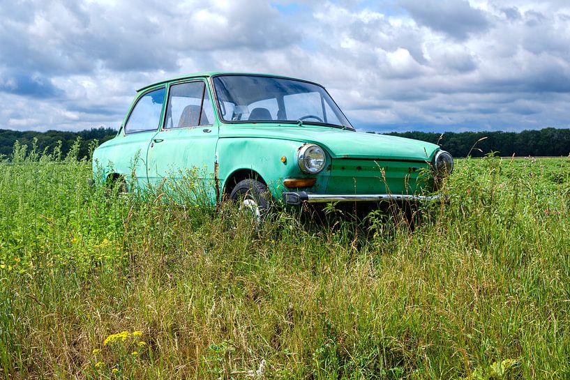 Green Daf passenger car in a summer meadow by Evert Jan Luchies