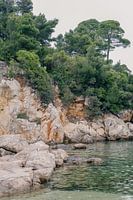 Côte de l'île de Lokrum Dubrovnik, Croatie