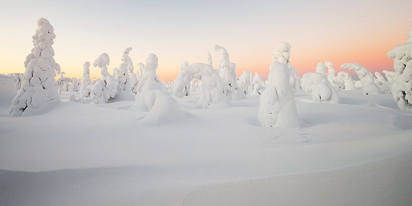 Sonnenaufgang in einer Winterlandschaft von Menno Schaefer
