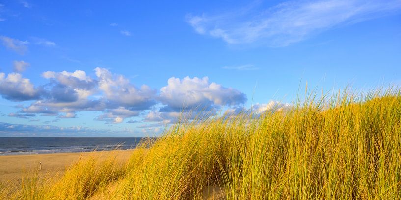Sonnenuntergang am Strand von Texel mit Sanddünen im Vordergrund von Sjoerd van der Wal Fotografie