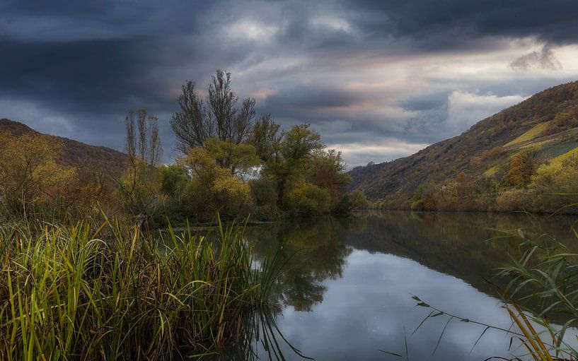 Reflection in lake by Mart Houtman