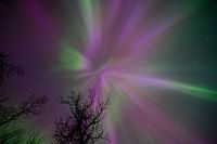 Northern Lights crown