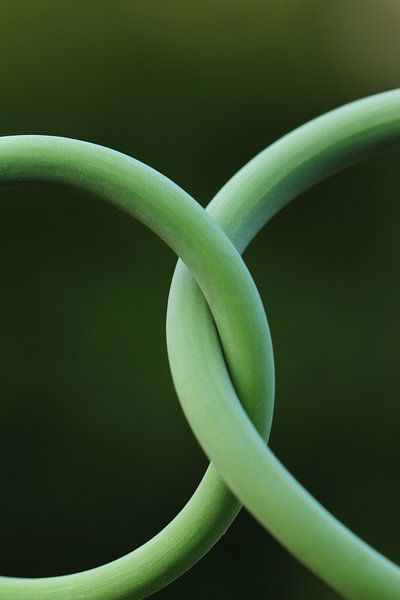 Miteinander par Heike Hultsch