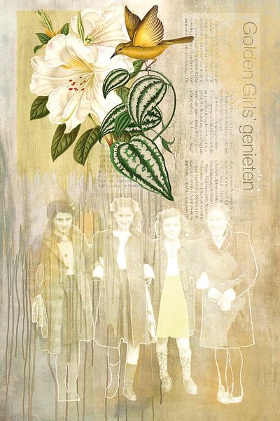 GoldenGirls by Behindthegray