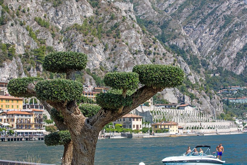Limone sul Garda - Gardasee von t.ART
