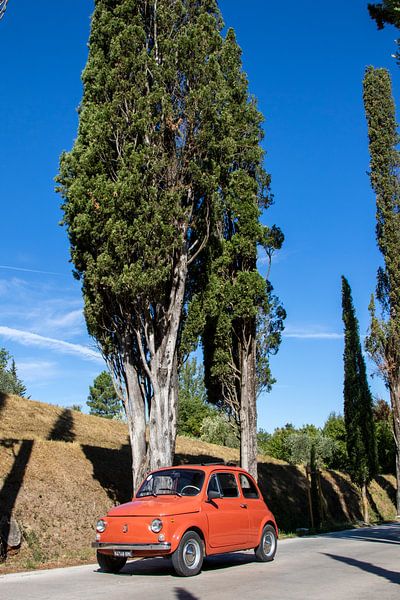 Fiat 500 à Cypresses par Jolanda van Eek en Ron de Jong