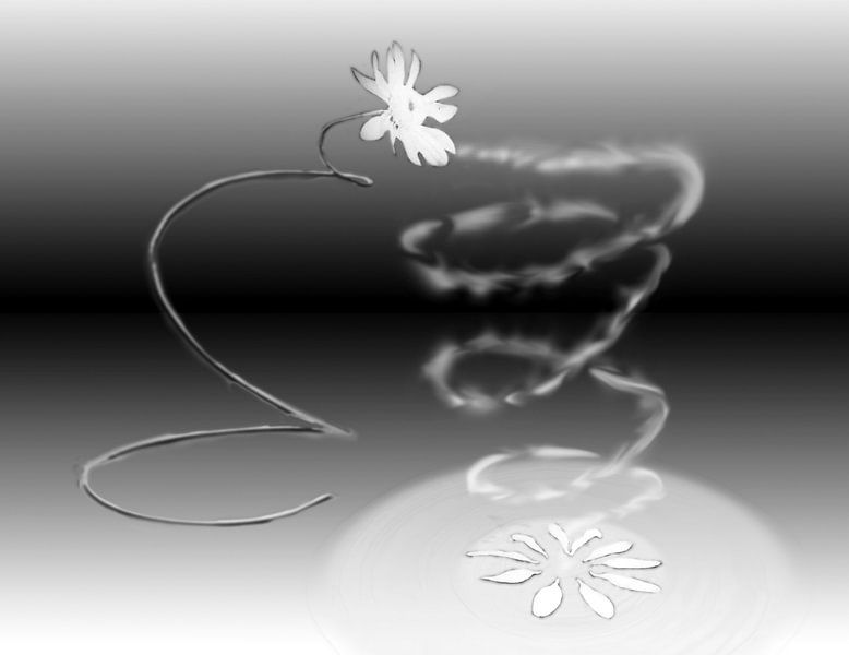 Lebenskreis von Bob Karhof