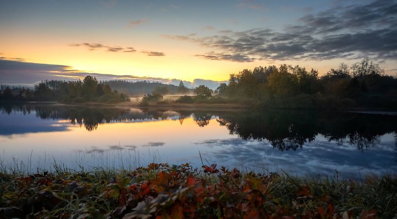 Étang des paons en automne par Steffen Henze
