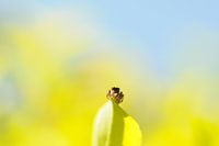 sich im Kreis drehen