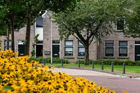 De baanstraat in Zwartsluis