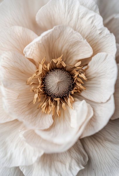 Pastel Beauty by Treechild