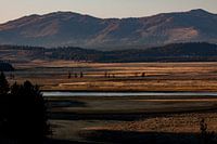 Lever de soleil à Yellowstone