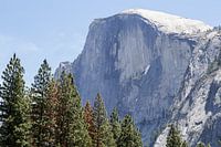 El Capitan: 900 meters solid granite
