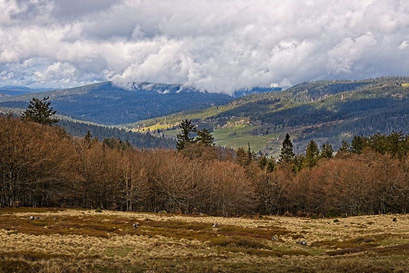 Le Tanet / Vogesen / Elsass von Rob Boon