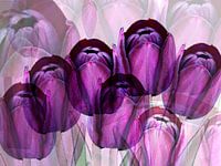 Purple tulips creation