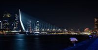 Rotterdam bei Nacht; Erasmus-Brücke