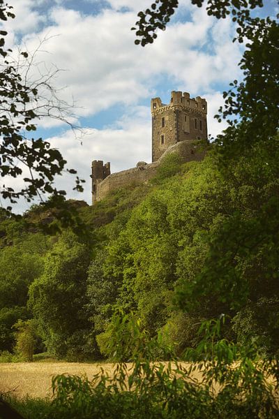 Burg Wernerseck von Dieter Beselt