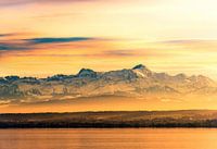Vue sur le lac de Constance et les Alpes suisses en automne