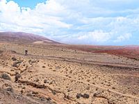 Einsam in der Servicewüste