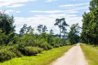 Naturschutzgebiet 'Elmpter Schwalmbruch' Schwalmen 1