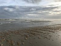 Seascape Ameland
