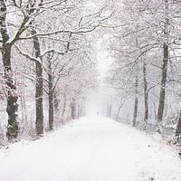 Die Narnia-Wanderung: verloren in Schnee und Zeit