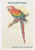 Red and Blue Macaw by Alexander Francis Lydon