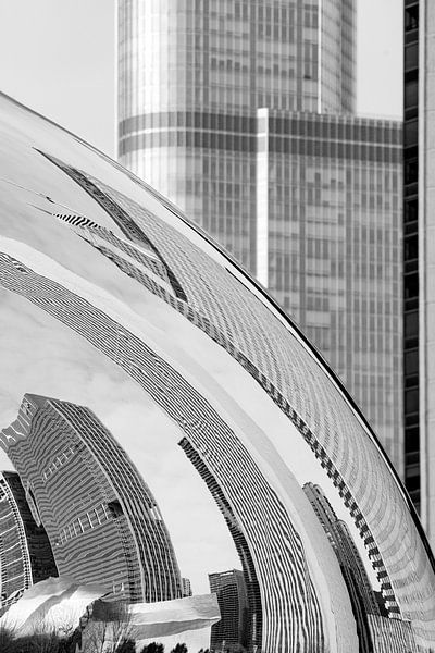 Chicago Skyline. by Rick Nederstigt