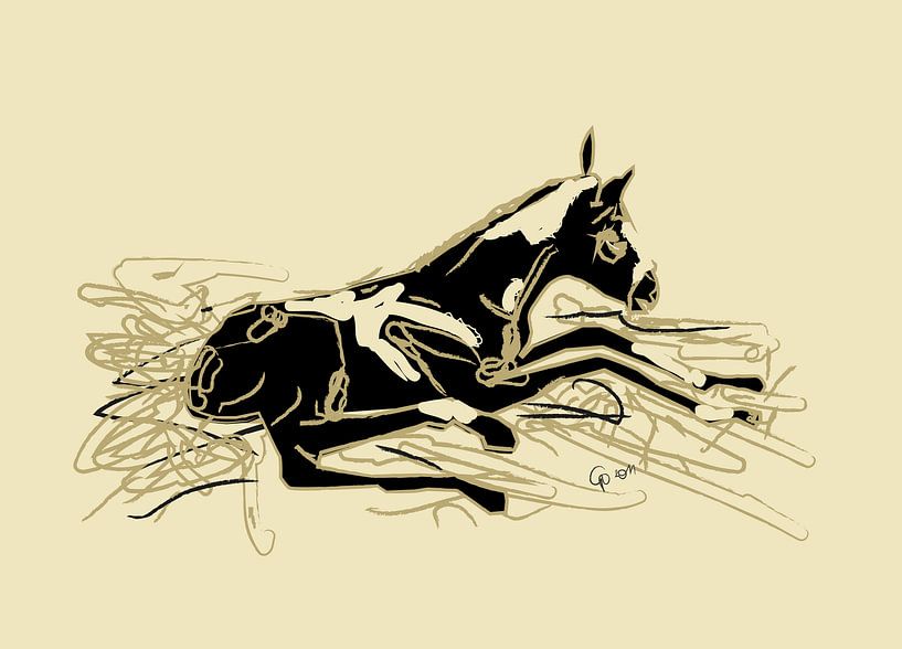 Newly born foal by Go van Kampen