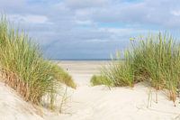 Blick auf das Nordseestrand auf der Nordseeinsel Terschelling