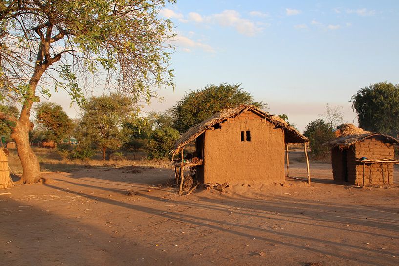 Haus oder Hütte? von Marije Zwart