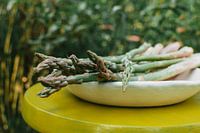 Spargel in der Natur | Foodfotografie | ländlich | gelb und grün
