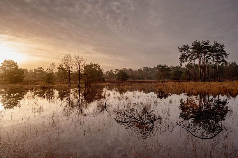 Sonnenaufgang über der Heide und den Wäldern von Den Treek von Henk Boerman