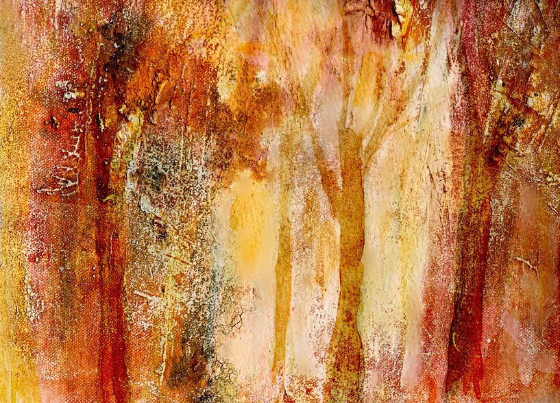 Spur der Bäume von Claudia Gründler