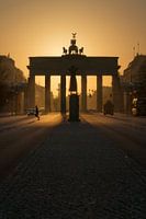 Moody morning lights